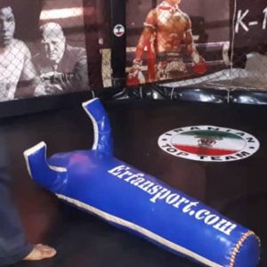 آدمک تمرینی کشتی